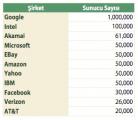 Dünya İnternet Şirketleri Sunucu Sayıları