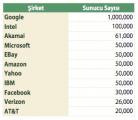 Dünya İnternet Şirketleri Sunucu Sayıları